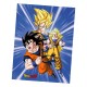 Plaid Dragon Ball Z Personnages