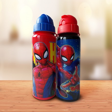 Gourde Spiderman Marvel 550 ml Aluminium